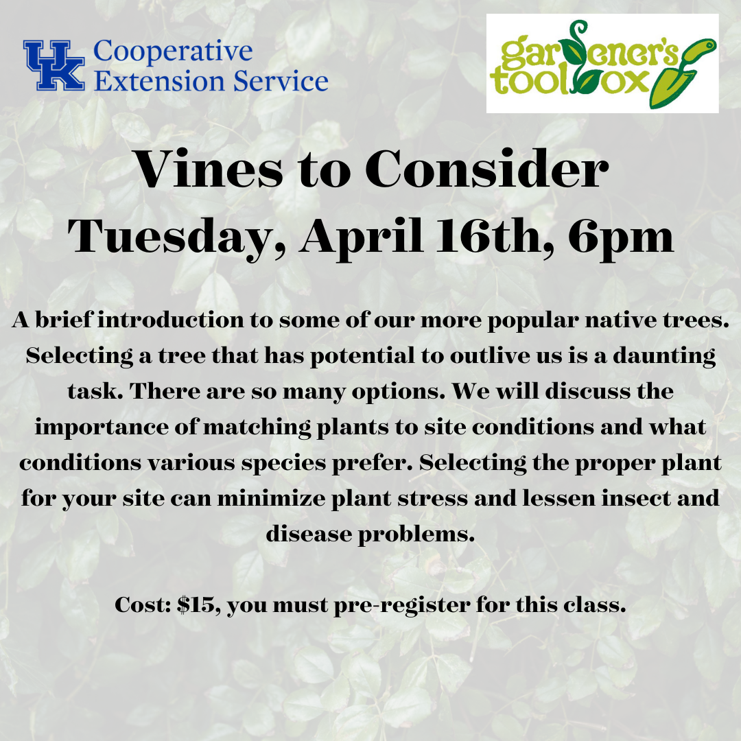 Vines to Consider Fayette County Extension Office